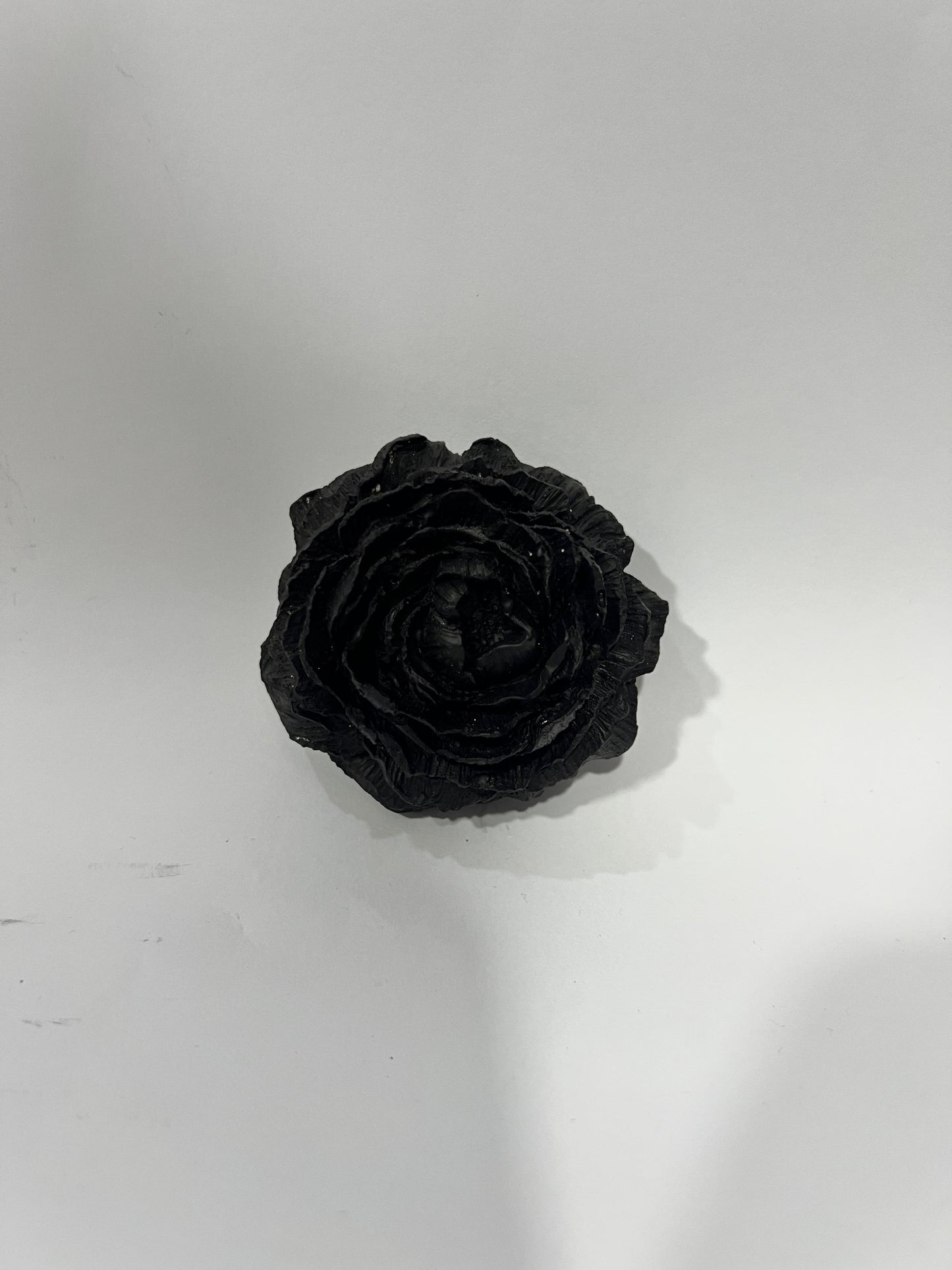 Bloomlette - TCE