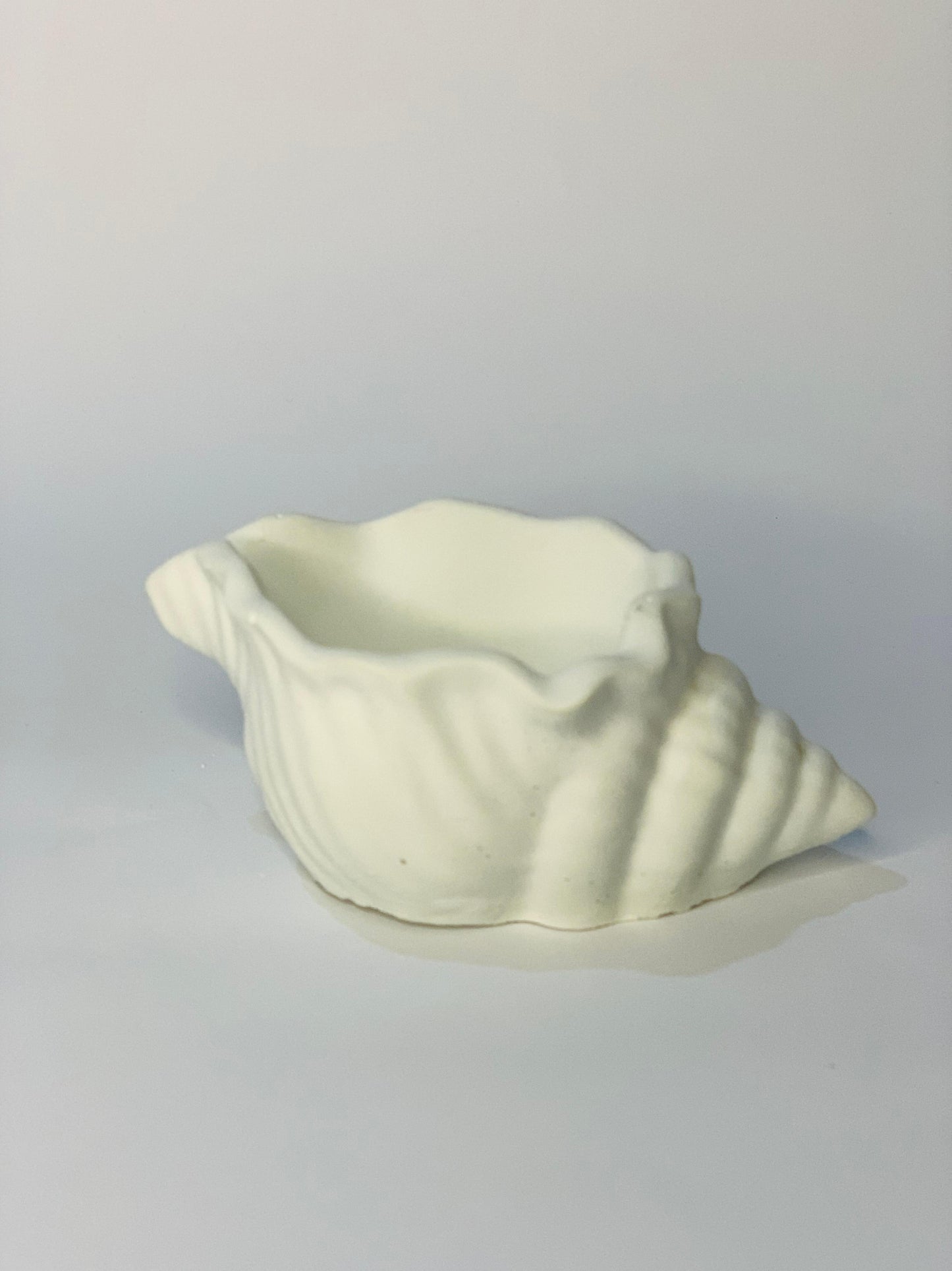 Sugar Shell Pot