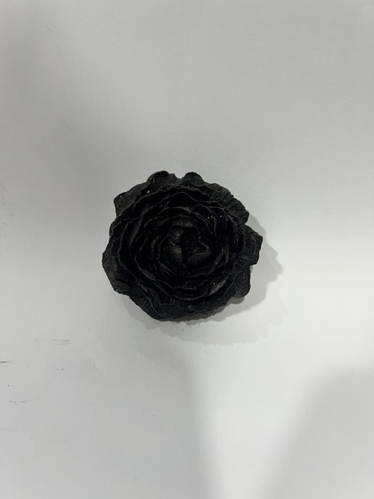 Bloomlette - TCE