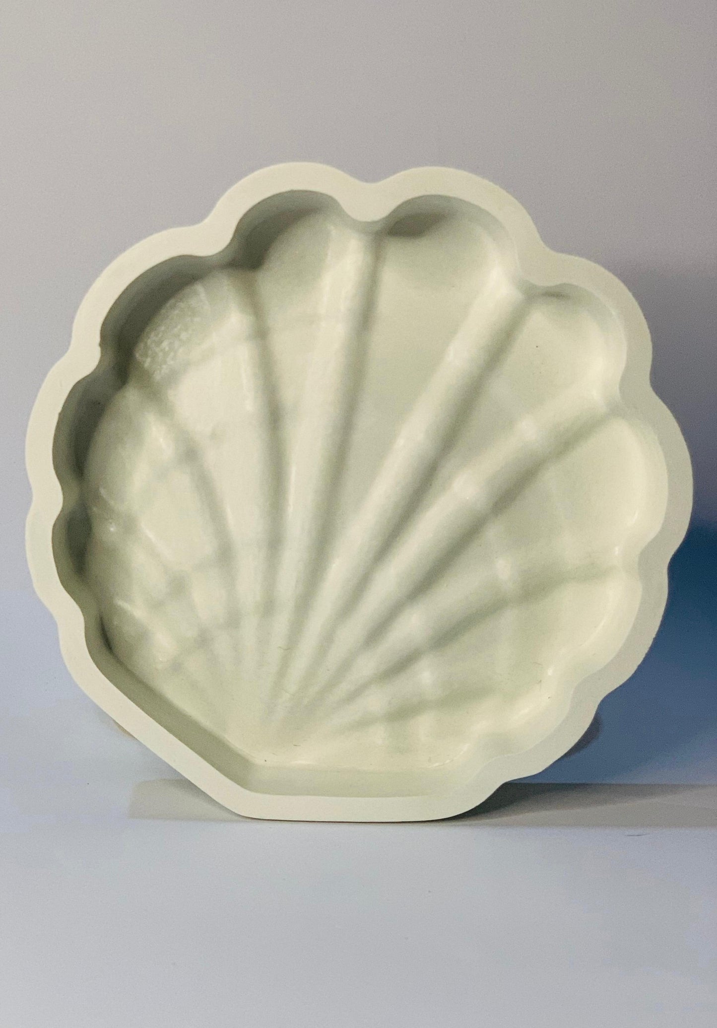 Shellabrate Trinket Dish