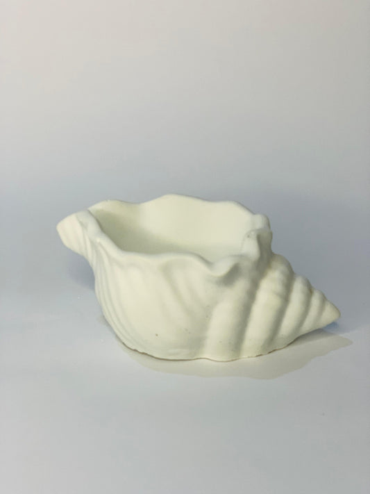Sugar Shell Pot