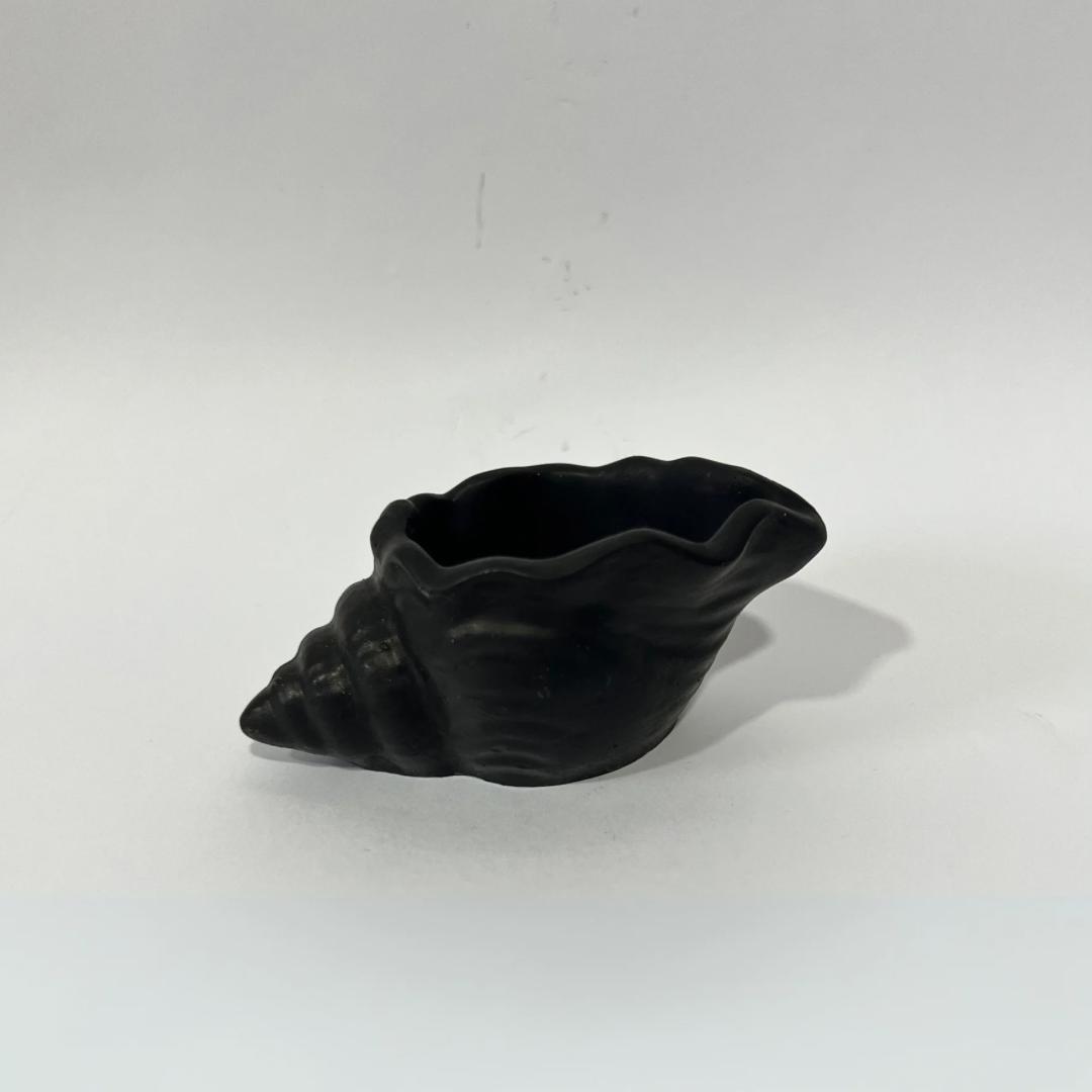 Sugar Shell Pot - TCE