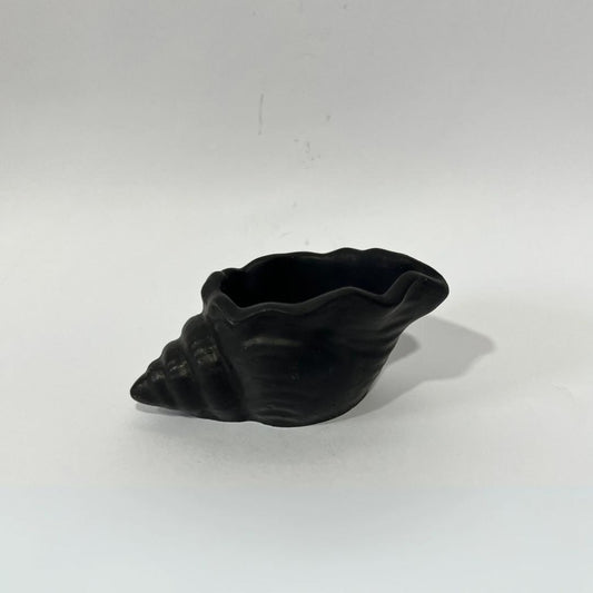 Sugar Shell Pot - TCE